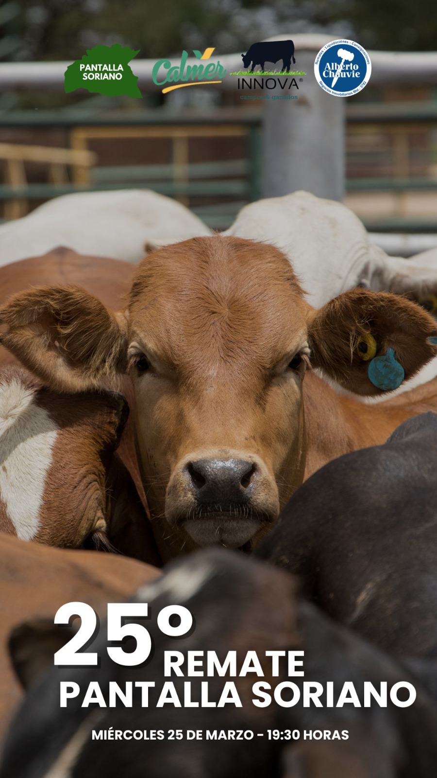 25º Remate - Pantalla Soriano